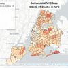 Interactive Map Shows NYC COVID-19 Deaths By Zip Code: Starrett City Most Affected